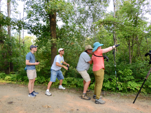 (Photo of Four Birders )